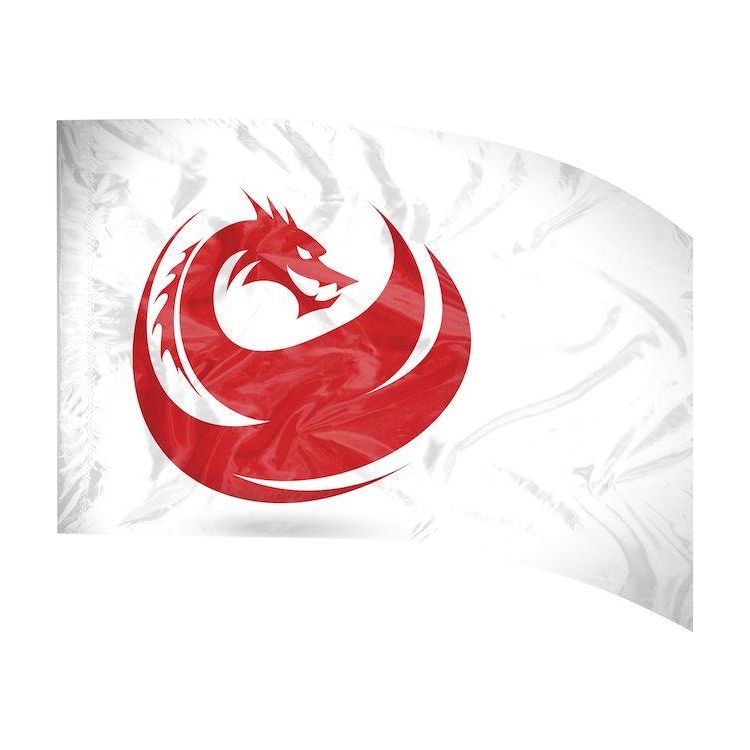 Envision Flag 815
